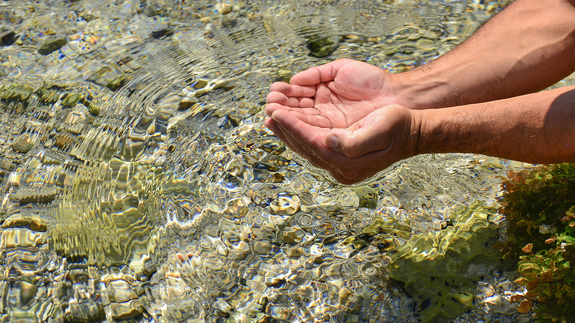 water, serene, nature, sustainable, calm